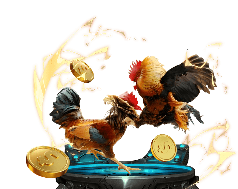 Trò chơi đá gà trực tuyến bong88