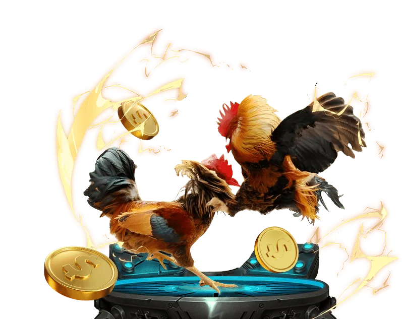 Trò chơi đá gà trực tuyến bong88